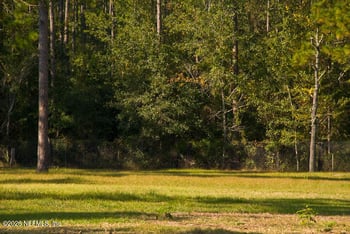 3760 Old Jennings Rd, Middleburg, FL 32068