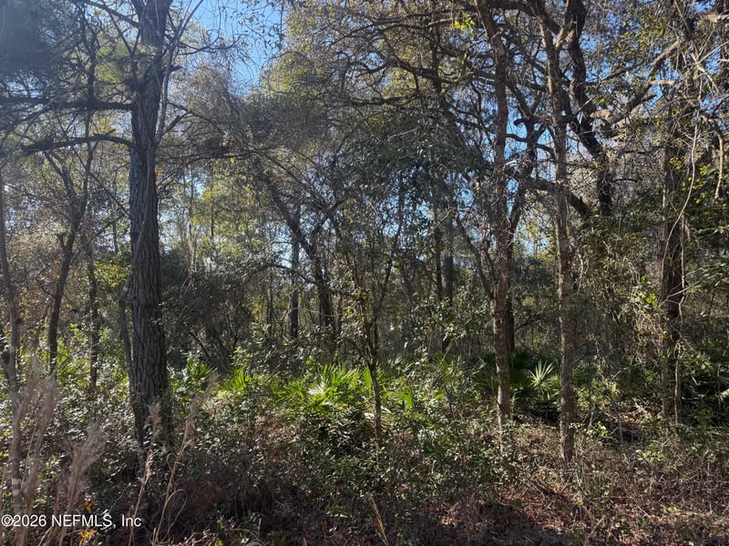 113 Doby Dr, Florahome, FL 32140