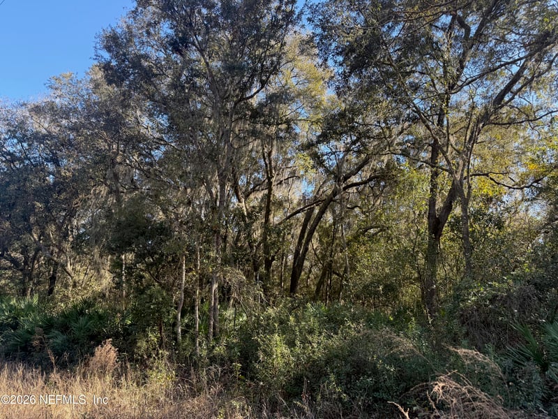 113 Doby Dr, Florahome, FL 32140