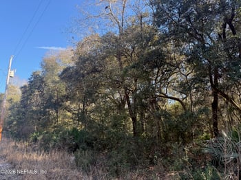 113 Doby Dr, Florahome, FL 32140