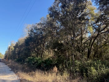 113 Doby Dr, Florahome, FL 32140