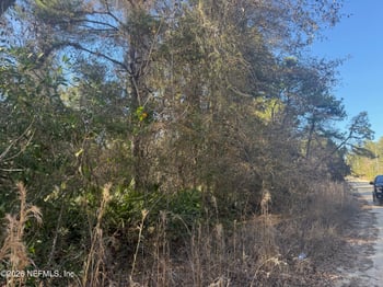 ZZZ Nettles Dr, Florahome, FL 32140