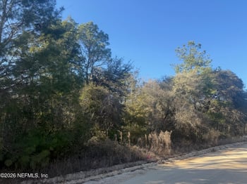 147 Nettles Rd, Florahome, FL 32140