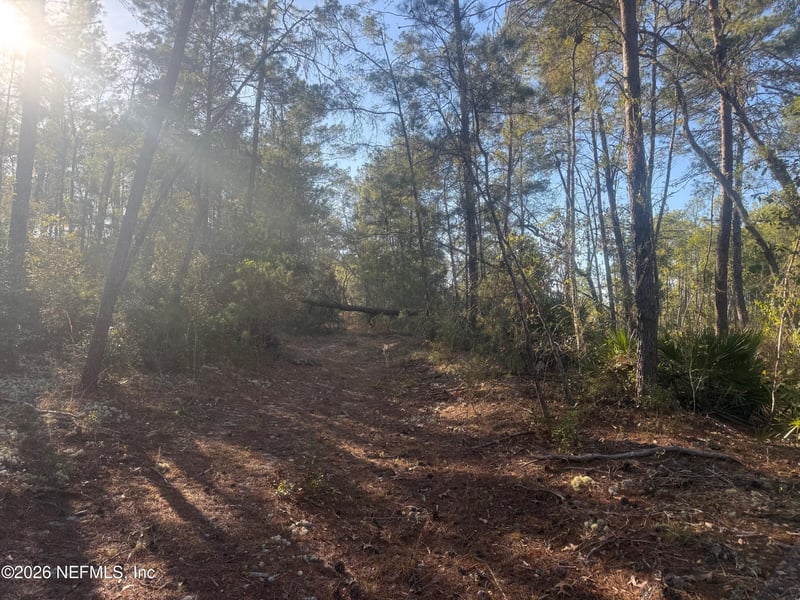 210 Morningside Dr, Florahome, FL 32140