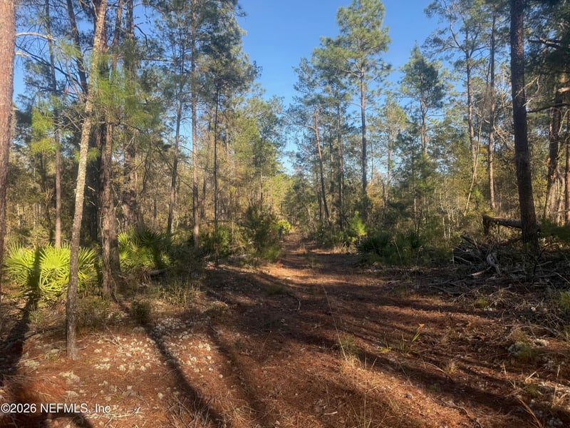 210 Morningside Dr, Florahome, FL 32140