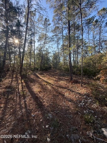 210 Morningside Dr, Florahome, FL 32140