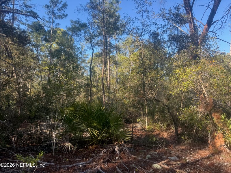 210 Morningside Dr, Florahome, FL 32140