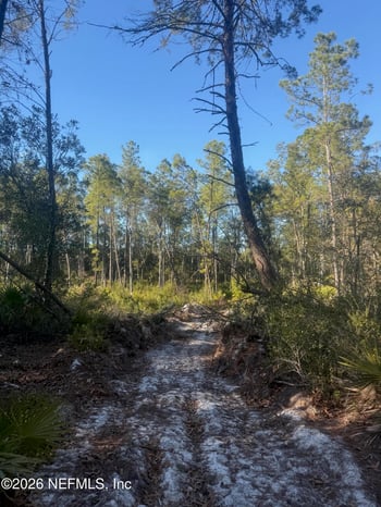 210 Morningside Dr, Florahome, FL 32140