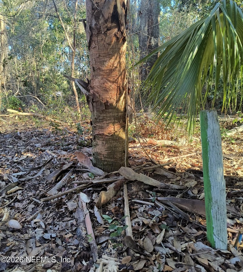 1929 7th Pl, Gainesville, FL 32641