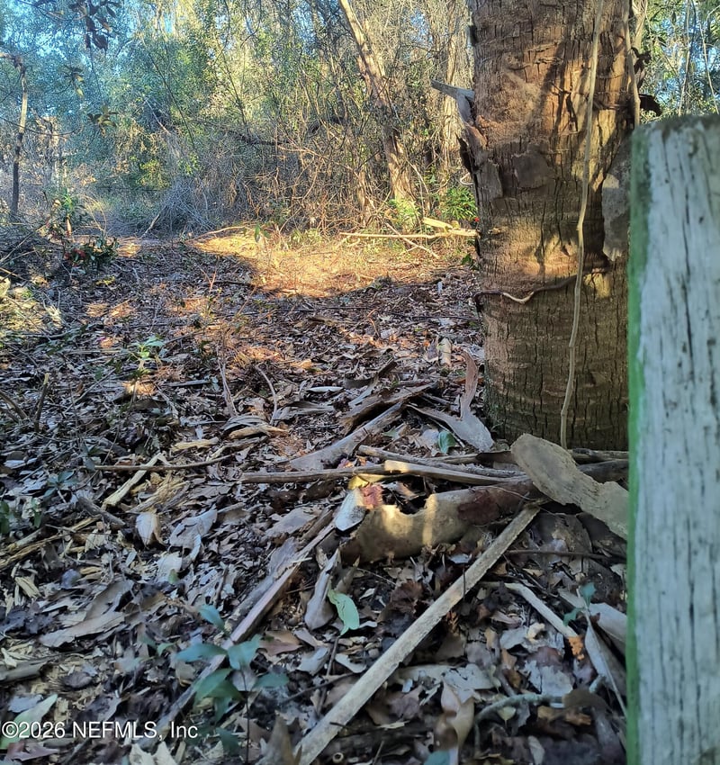 1929 7th Pl, Gainesville, FL 32641