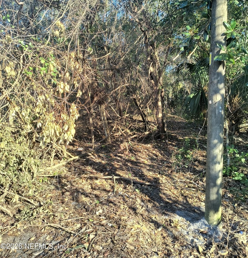 1929 7th Pl, Gainesville, FL 32641