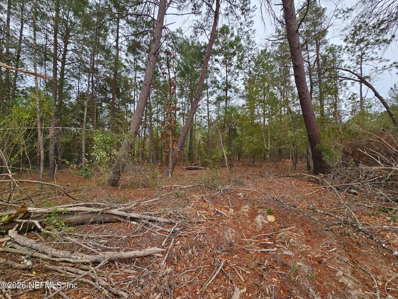 131 5th St, Interlachen, FL 32148