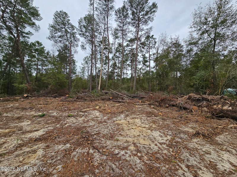 131 5th St, Interlachen, FL 32148