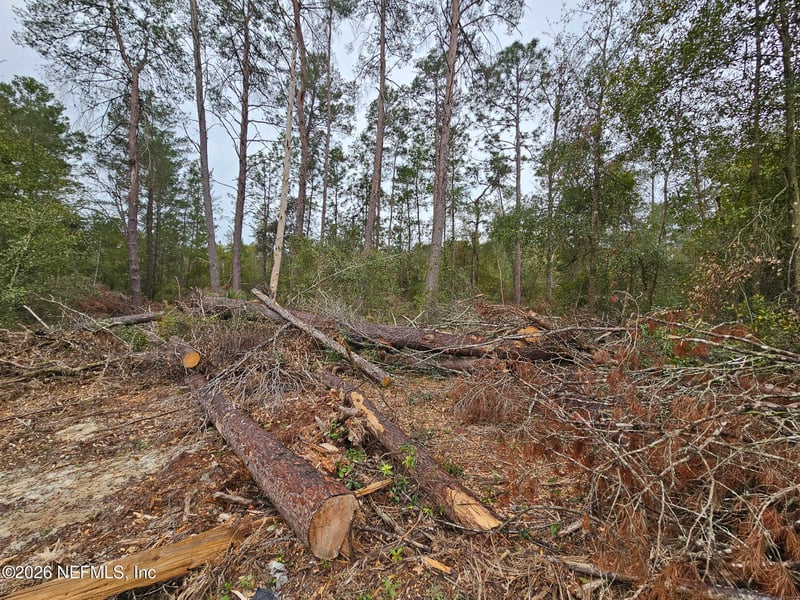 131 5th St, Interlachen, FL 32148