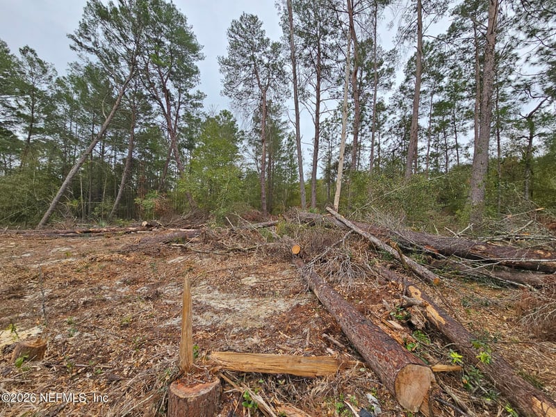 131 5th St, Interlachen, FL 32148