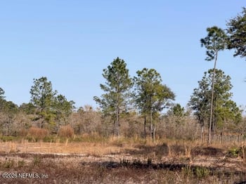 12960 County Road 241, Lake Butler, FL 32054