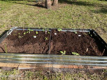 709 11th St, Palatka, FL 32177