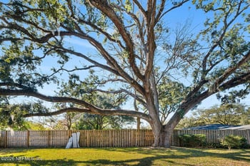 1321 Mundy Dr, Jacksonville, FL 32207