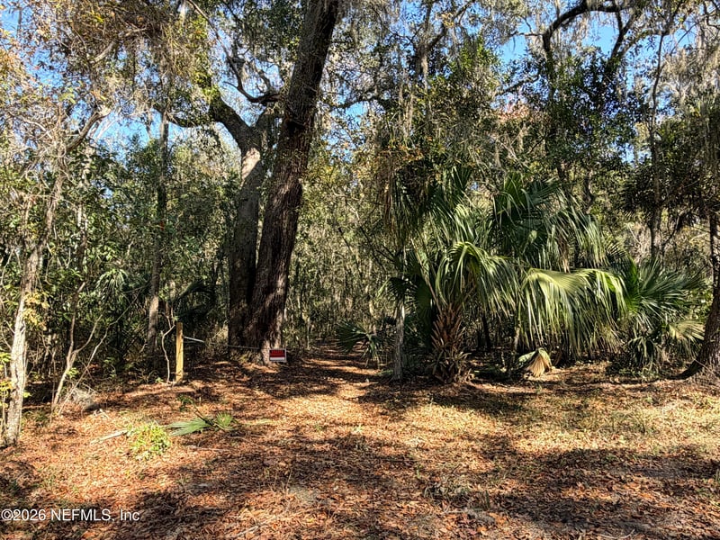 PARCEL 7 Pine Island Rd, Ponte Vedra, FL 32081