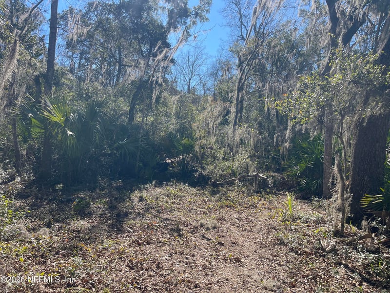 0 Pine Island Rd, Ponte Vedra, FL 32081