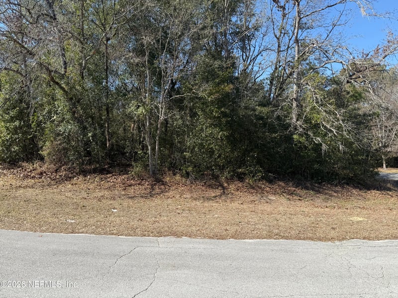 2196 Snap Ct, Middleburg, FL 32068