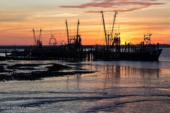 2881 Landyns Cir, Fernandina Beach, FL 32034