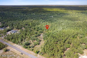 14014 Dunroven Dr, Bryceville, FL 32009