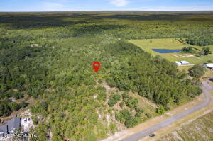 14014 Dunroven Dr, Bryceville, FL 32009