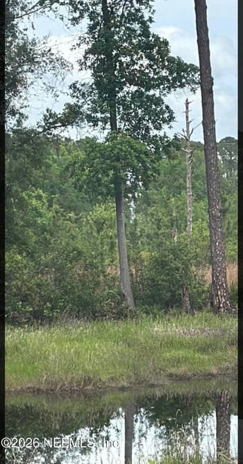 217 Hanselman Ave, Crescent, FL 32112