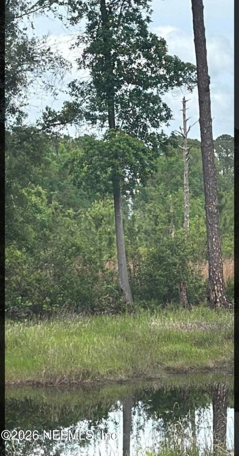 217 Hanselman Ave, Crescent, FL 32112