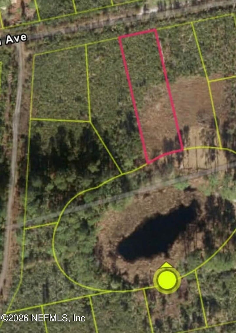 217 Hanselman Ave, Crescent, FL 32112