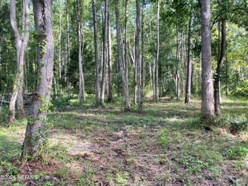 Sunrise Farms Rd, Middleburg, FL 32068