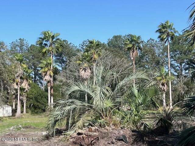 0 Reid Packing House Rd, Hastings, FL 32145