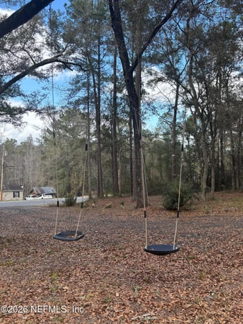 5186 Chicory Cir, Middleburg, FL 32068