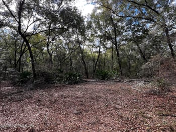 141 Woodland Ln, Hawthorne, FL 32640