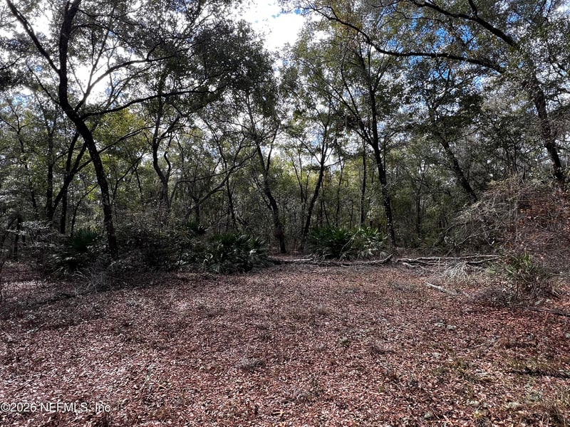 141 Woodland Ln, Hawthorne, FL 32640