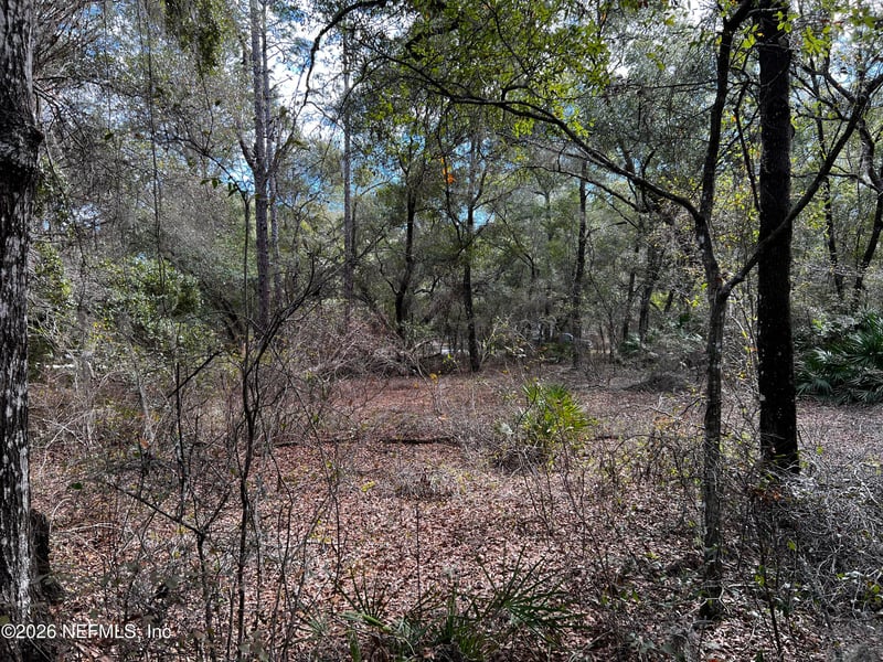 141 Woodland Ln, Hawthorne, FL 32640