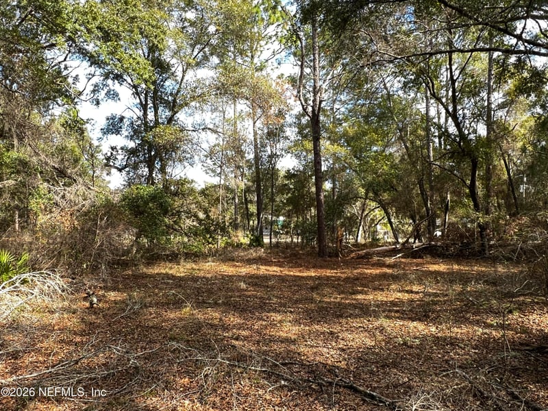 141 Woodland Ln, Hawthorne, FL 32640