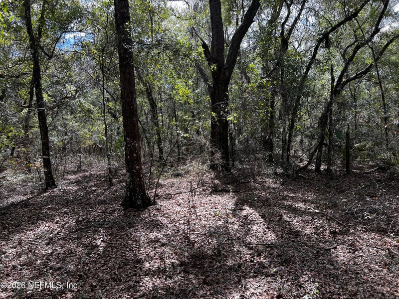 141 Woodland Ln, Hawthorne, FL 32640