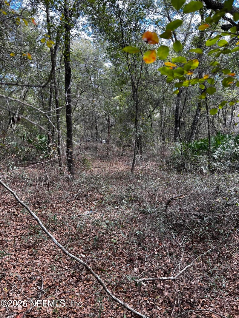 141 Woodland Ln, Hawthorne, FL 32640