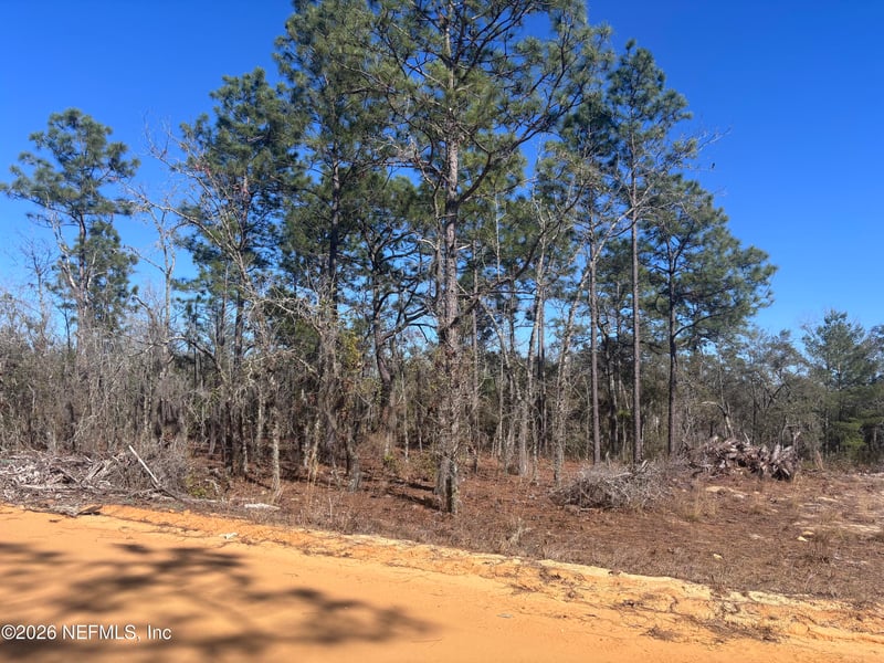 0 Violet Ave, Interlachen, FL 32148