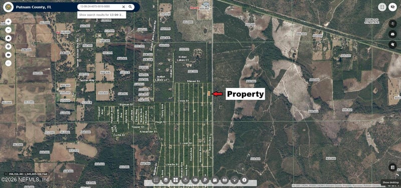 1118 Selma Ave, Florahome, FL 32140