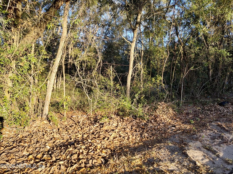 160 Putnam Loop Rd, Melrose, FL 32666