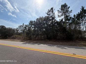 4915 Peppergrass St, Middleburg, FL 32068