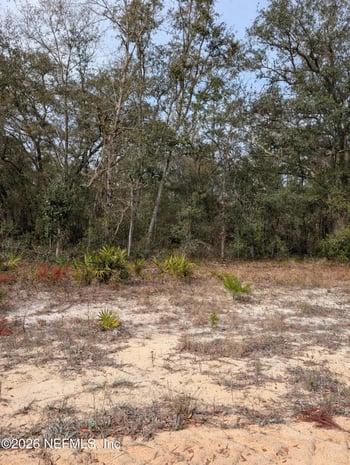 David Ave, Interlachen, FL 32148