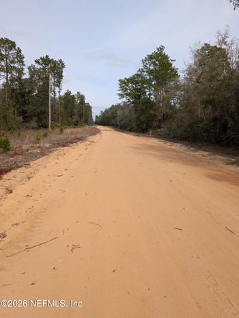 David Ave, Interlachen, FL 32148