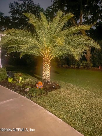 12 Wards Ravine Way, St Johns, FL 32259