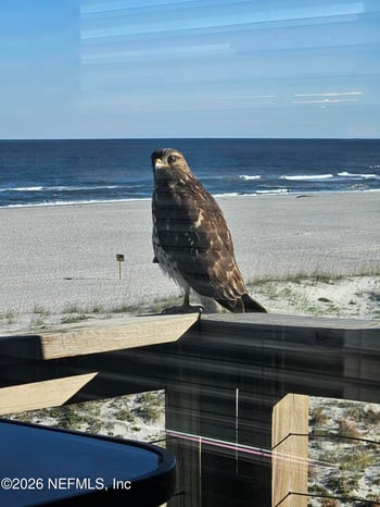 2 10th St #6, St Augustine Beach, FL 32080