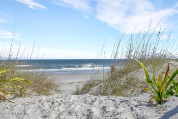 2734 Colonies Dr, Jacksonville Beach, FL 32250