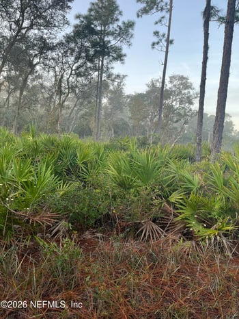 211 Temple Ave, Crescent, FL 32112